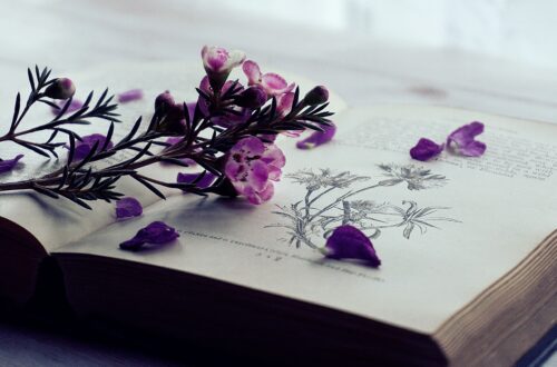 flowers in purple on a book