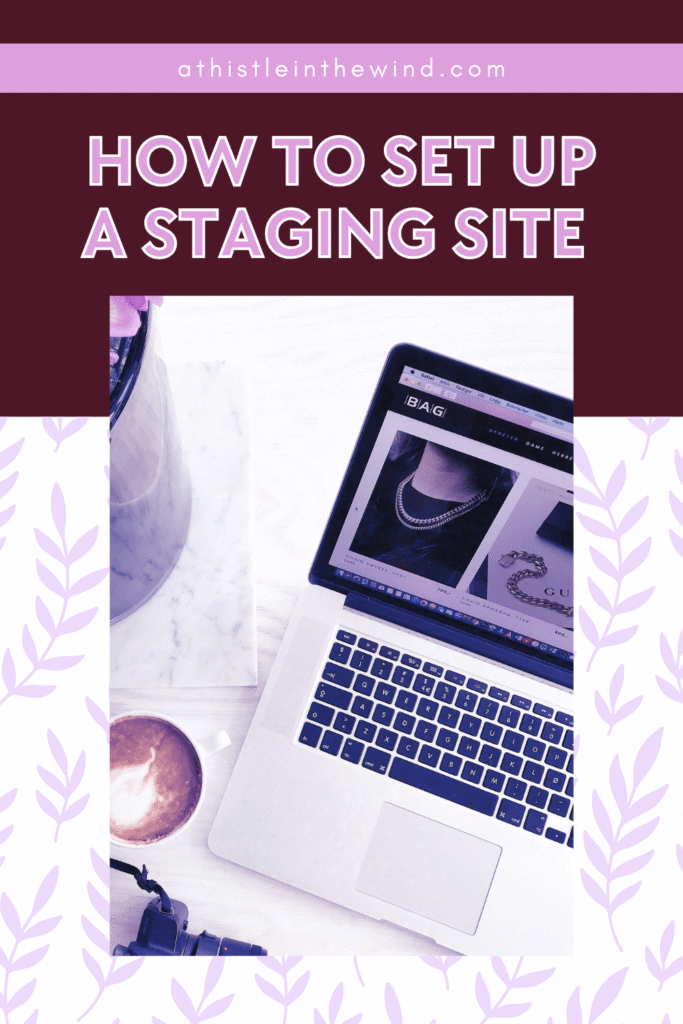 cover of How to Set Up A Staging Site