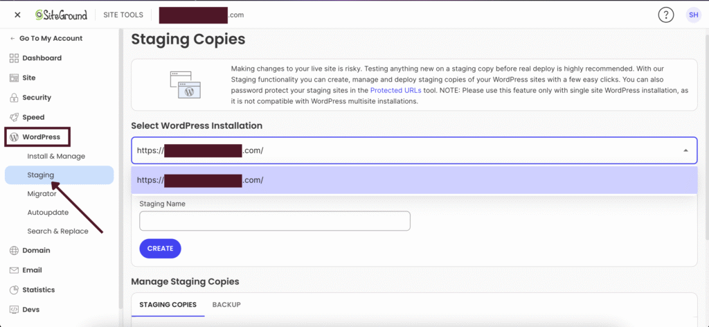 go to wordPress > staging, pick your website.