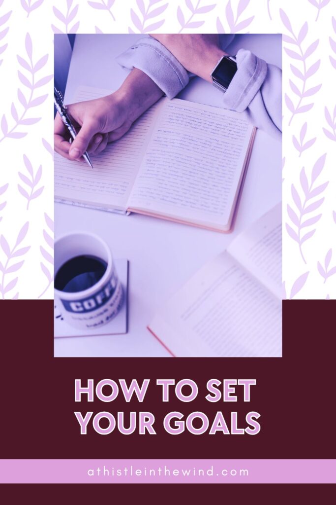 cover of How to Set Your Goals When You Don’t Know What You Want