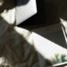 On Writing Trauma: How to Do Justice to Your Story & Readers