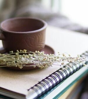On Writing: What is a Central Conflict?