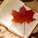 Book Talk: What I Read in May