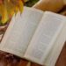 Book Talk: What I Read in August
