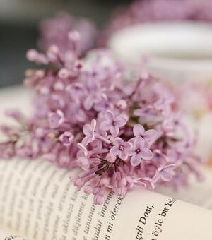 Book Talk: What I Read in November