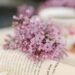 Book Talk: What I Read in November