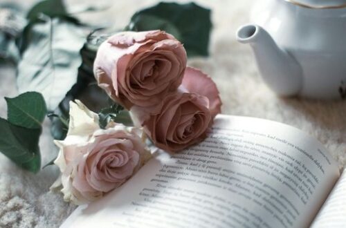 Book Talk: What I Read in December