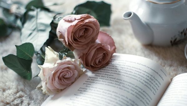 Book Talk: What I Read in December