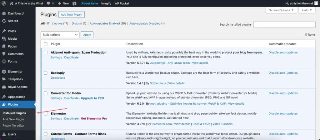 your plugins must always be in this part of your wordpress dashboard