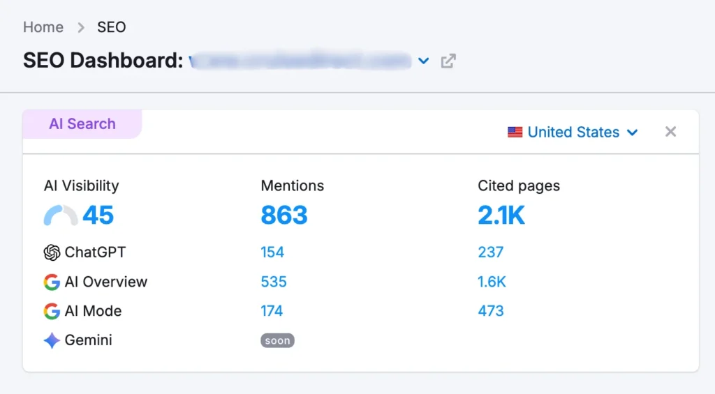 how my company's website is doing on ai seach (blurred for proprietary and confidential data)
