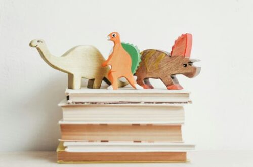 Book Talk: January 2026 Reading List