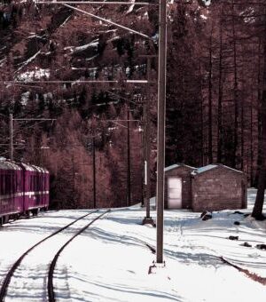 Dissecting Murder on the Orient Express