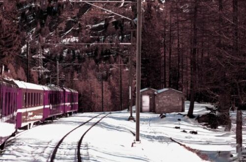 Dissecting Murder on the Orient Express