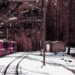 Dissecting Murder on the Orient Express